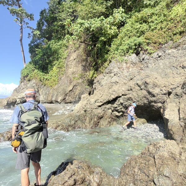 CORCOVADO TOURS
