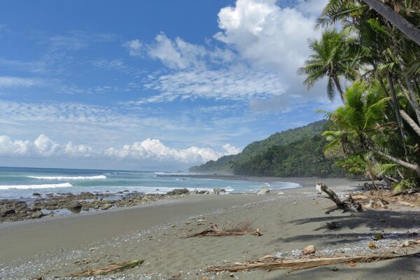 Carate beach, La Leona Trail.